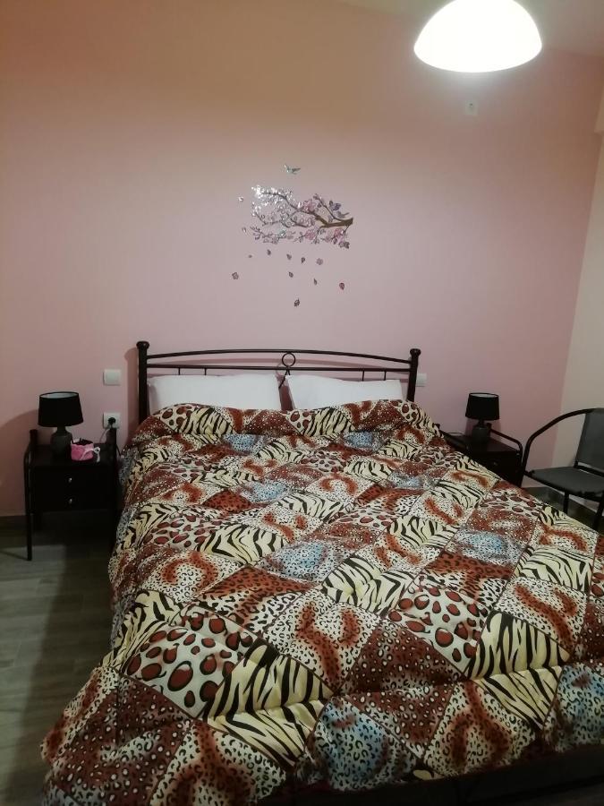 Katelia'S Apartments Almiropótamosz Kültér fotó